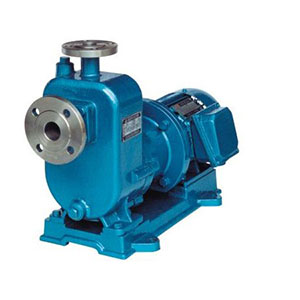 ZCQ�͸��g����������